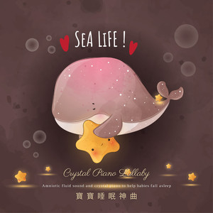 手抓大雷二次元
