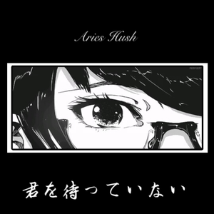 手抓大雷二次元
